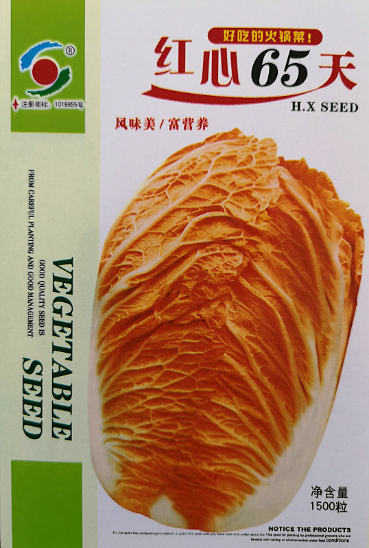 红心65天——桔红心白菜 红心65天——桔红心白菜